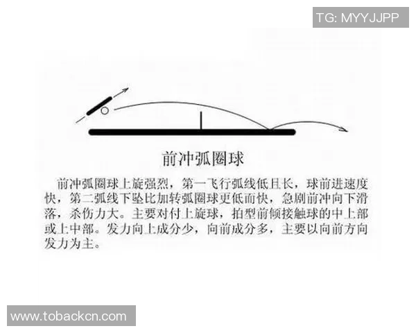 武汉乒乓球队实力深度剖析及各队员表现全面对比分析